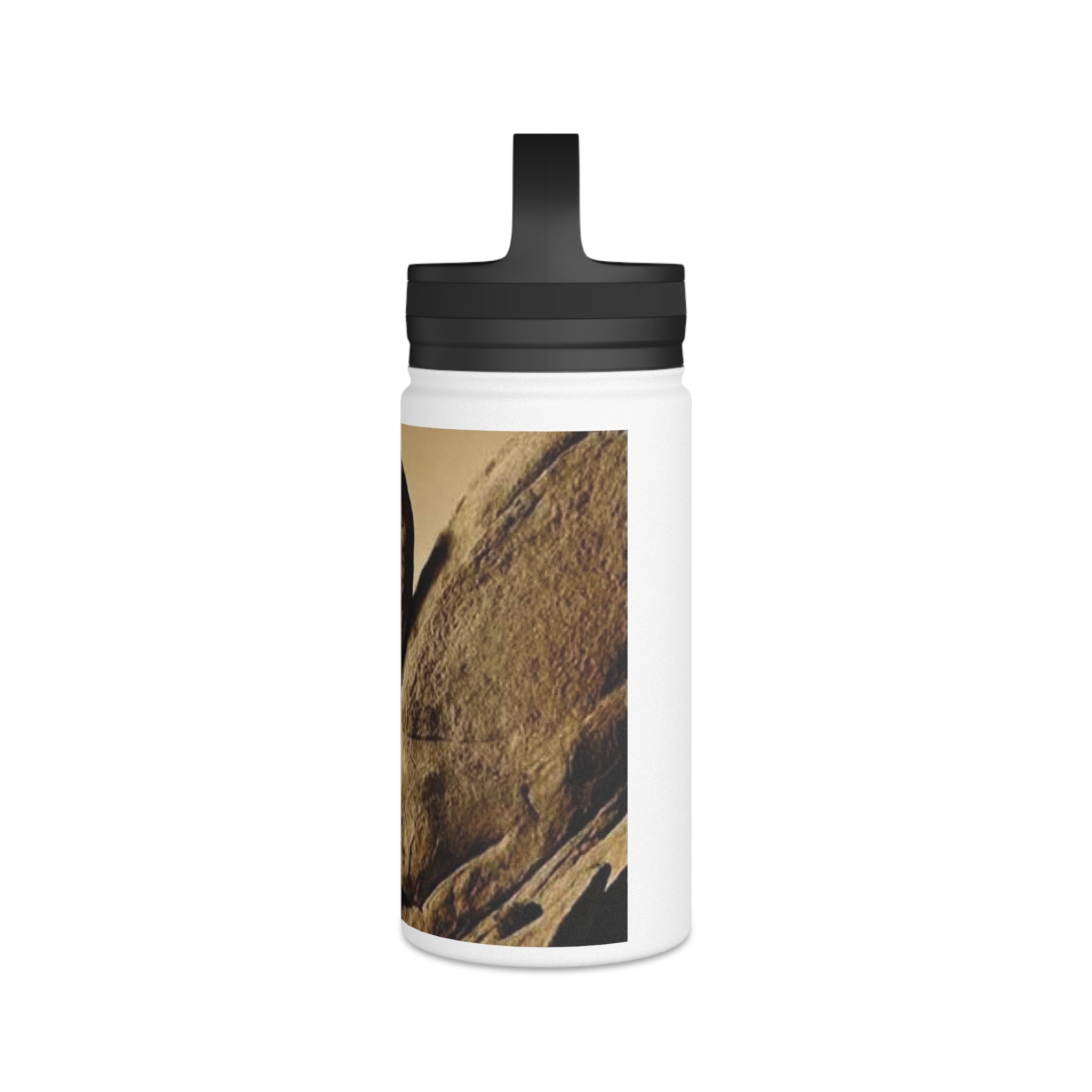 Sisyphus Stainless Steel Bottle