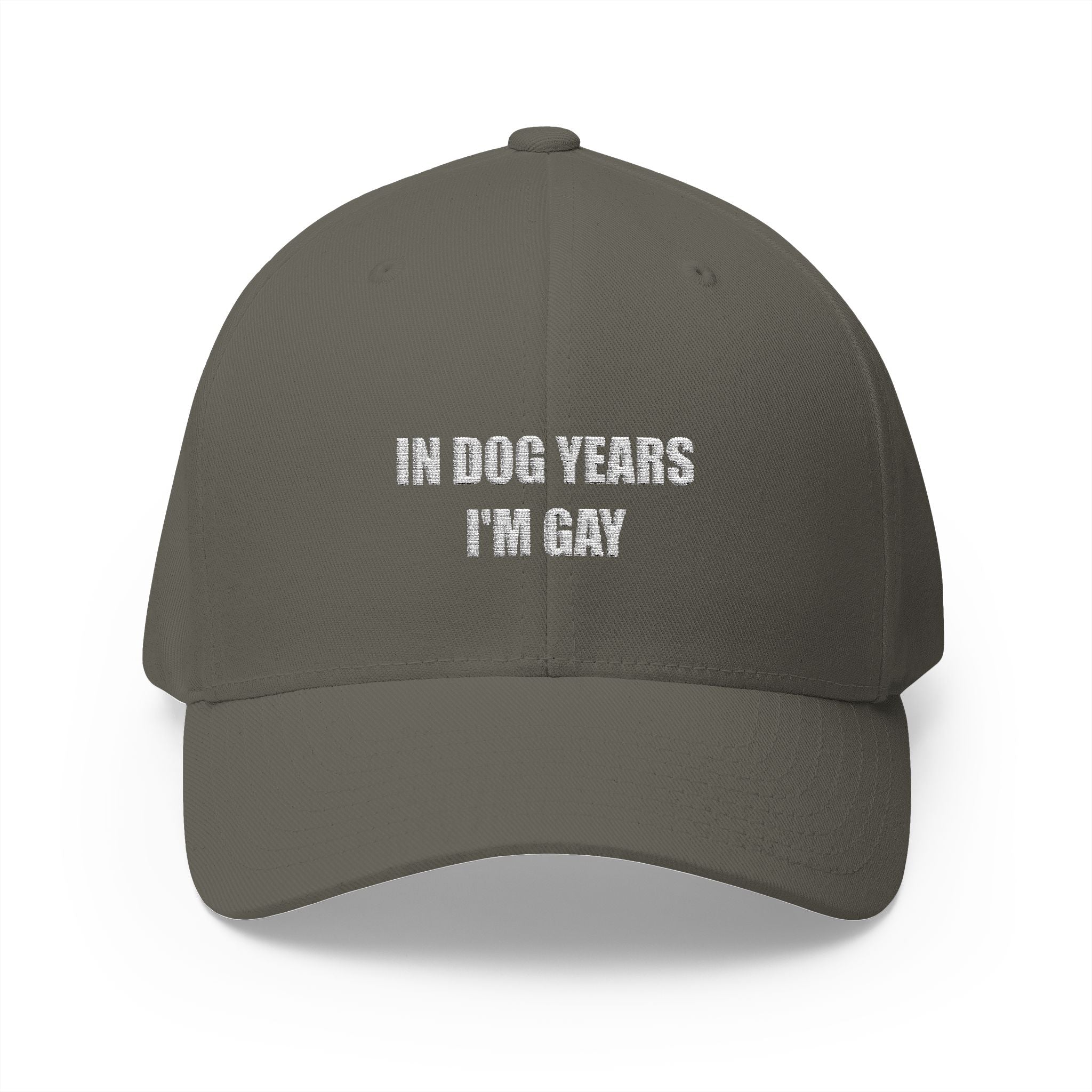 "In Dog Years I'm Gay" Baseball Cap