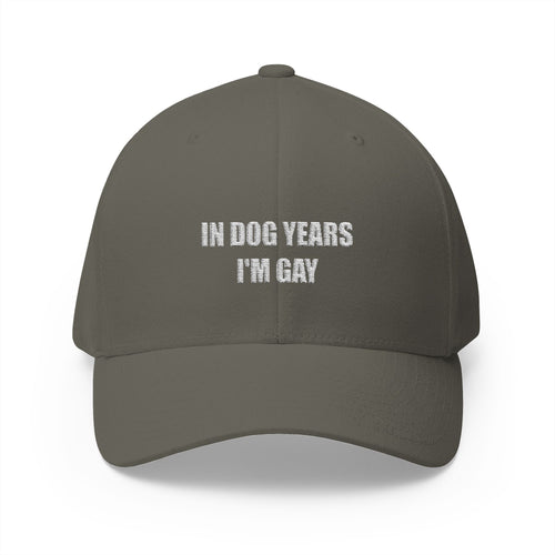 "In Dog Years I'm Gay" Baseball Cap
