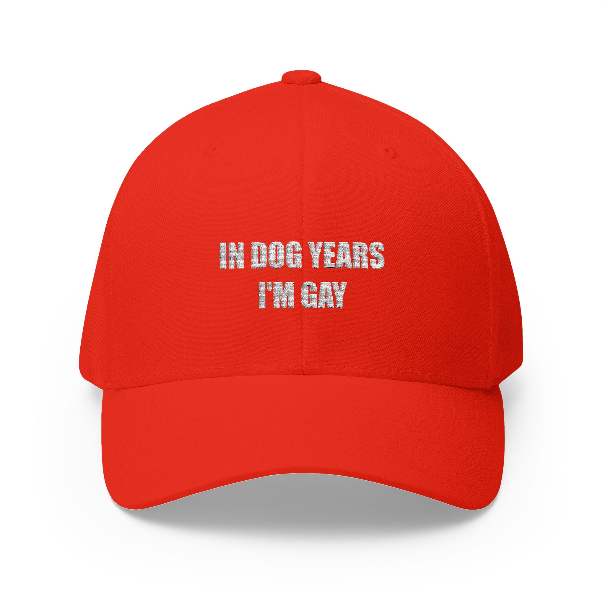 "In Dog Years I'm Gay" Baseball Cap