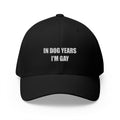 "In Dog Years I'm Gay" Baseball Cap