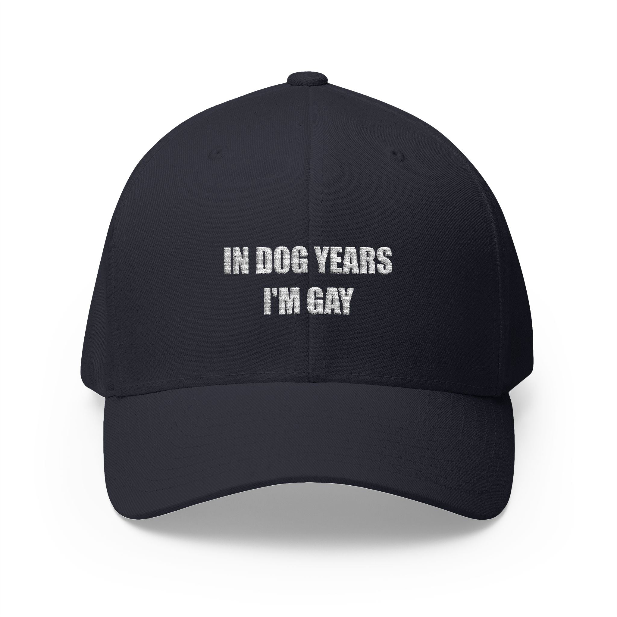 "In Dog Years I'm Gay" Baseball Cap